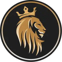 valor logo icon